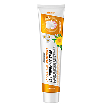 DENTAVIT TOOTHPASTE 12 MEDICINAL HERBS