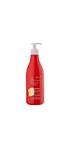 Color Sealing Shampoo for Colored and Damaged Hair Jojoba Oil and Hyaluron