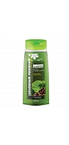 GREEN SHAMPOO for hair CHESTNUT and GINKGO BILOBA for volume and density of hair